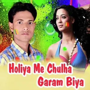 Holiya Me Chulha Garam Biya image