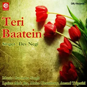 Teri Baatein image