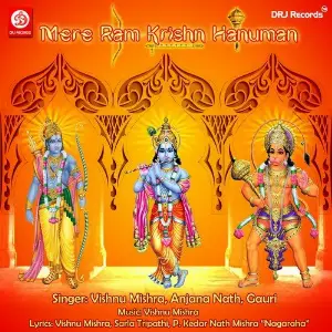 Mere Ram Krishn Hanuman image
