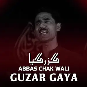 Guzar Gaya image