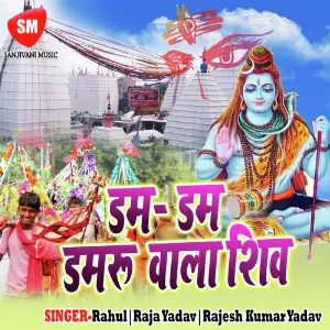 Dam Dam Damru Wala Shiv image