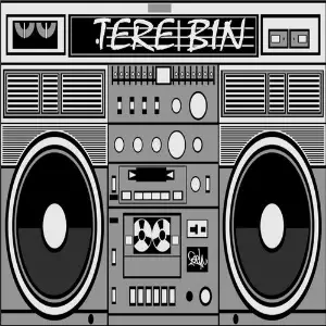 Tere Bin (feat. Big a) image