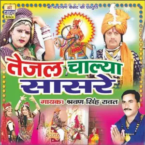 Tejal Chalya Sasre image