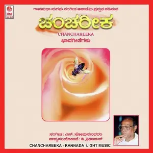 Chanchareeka image