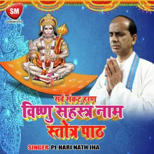 Vishnu Sahastra Naam Strot Path image