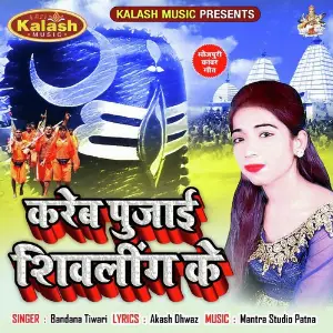 Kareb Pujai Shivling Ke image