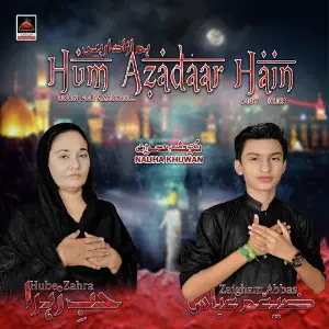 Hum Azadaar Hain Hube Zahra, Zaigham Abbas