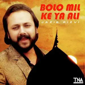 Bolo Mil Ke Ya Ali - Single image