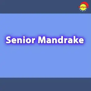 Senior Mandrake image