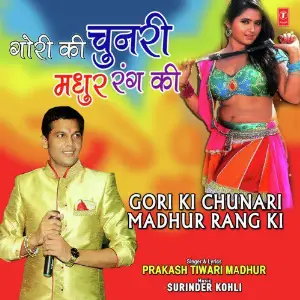 Holiya Mein Raja Jaani Sanjay Tiwari Safal, Anmol Anil