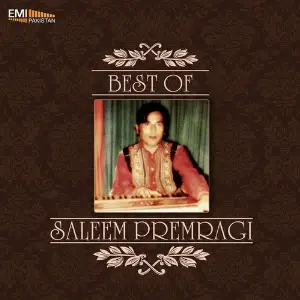Best of Saleem Premragi image