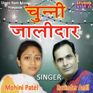 Chunni Jalidar image