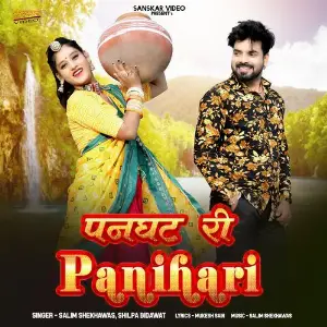 Panghat Ri Panihari image
