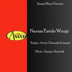 Naram Patole Wargi image