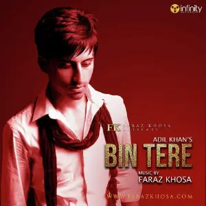 Bin Tere image