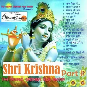 Sri Krishna I image