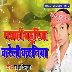 Nayaki Bahuriya Kareli Kataniya image