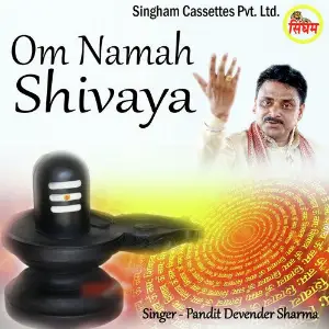 Om Namah Shivaya image