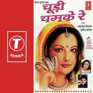 Choodi Chamke Re image