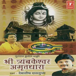 Shri Tryambkeshwar Amritdhara image