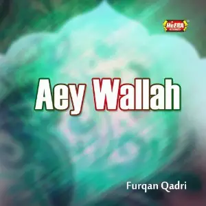 Aey Wallah image