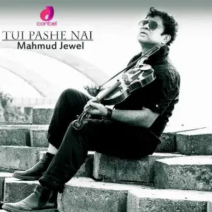 Tui Pashe Nai image