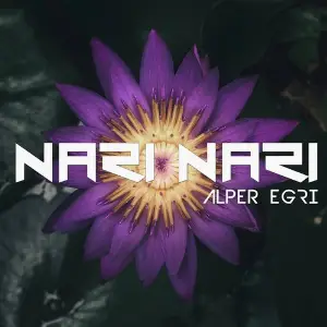 Nari Nari image