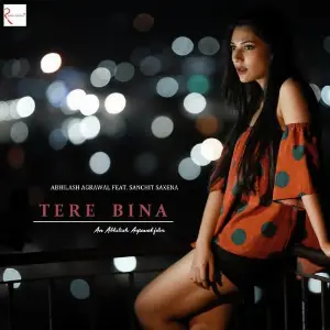 Tere Bina image