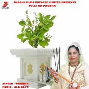 Tulsi Ka Paudha image