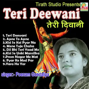 Teri Deewani image