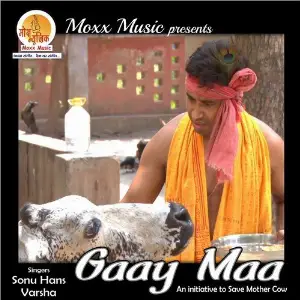 Gaay Maa image