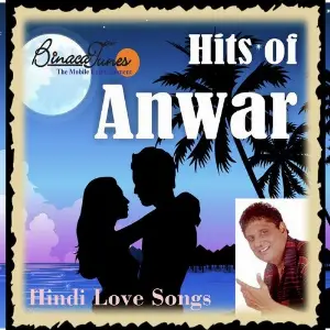 Hits Of Anwar image