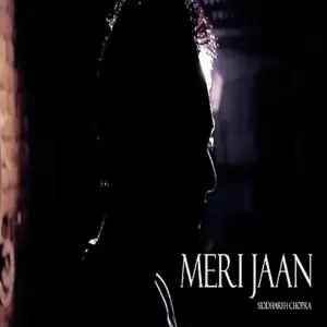 Meri Jaan (2013) image