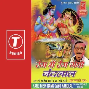 Rang Mein Rang Gayo Nandlal image