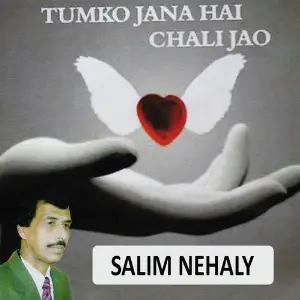 Tumko Jana Hai Chali Jao image