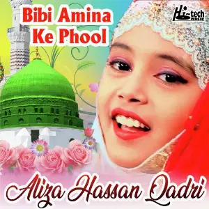 Bibi Amina Ke Phool image