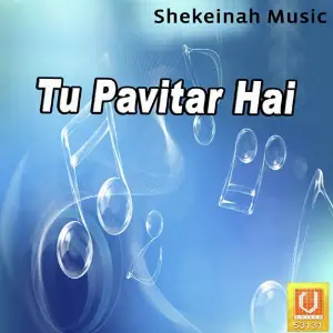 Tu Pavitar Hai image