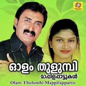 Olam Thulumbi Mappilappattu image