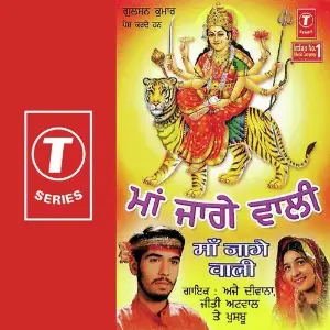 Maa Jaage Wali image