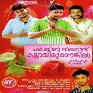 Kalbhinte Sthanathu Kallayirunnenkil image