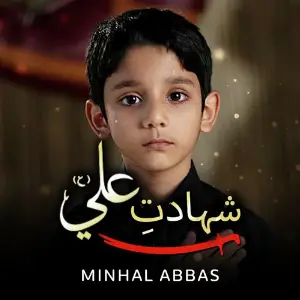 Shadat E Ali a.S image