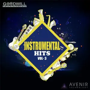 Instrumental Hits Vol. 3 image