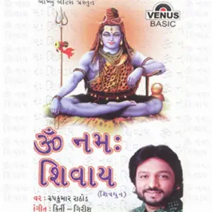 Om Namah Shivay image