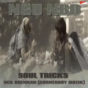 NGU NBD - Single image