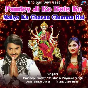 Nayak Pradeep Pandey, Priyanka Singh