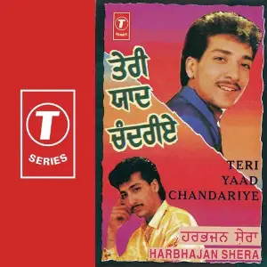 Teri Yaad Chandariye image