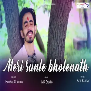Meri Sunle Bholenath image