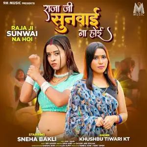 Raja Ji Sunwai Na Hoi image