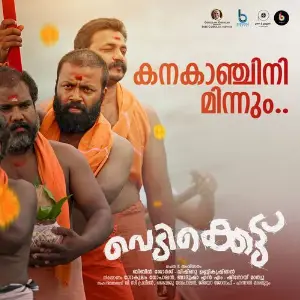 Kanakanjini Minnum (From Vedikkettu) image