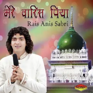 Mere Waris Piya image